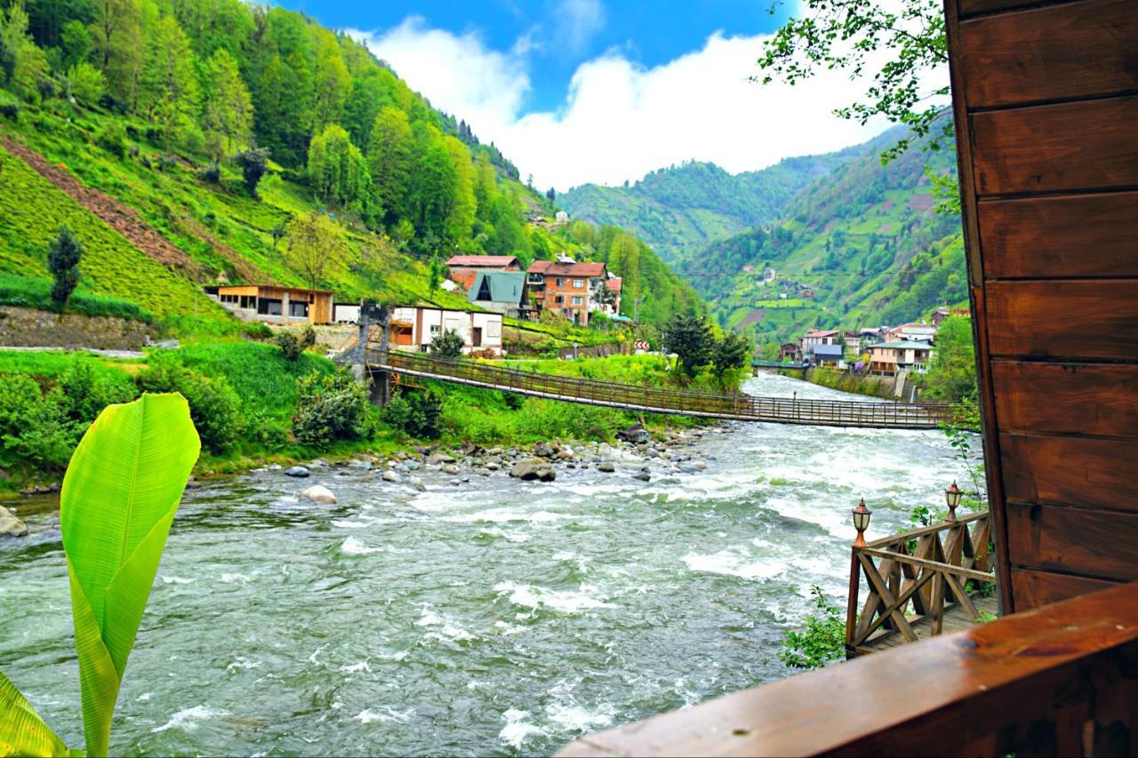 Tabiat Bungalows Otel Çamlıhemşin エクステリア 写真